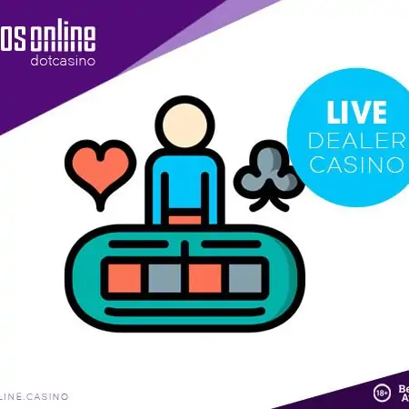 How Live Dealer Casinos Work