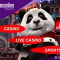 Royal Panda Casino India
